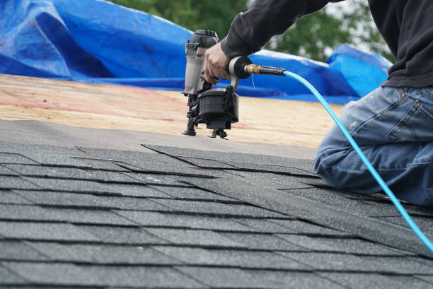 Roof Gutter Cleaning in Dover, AR