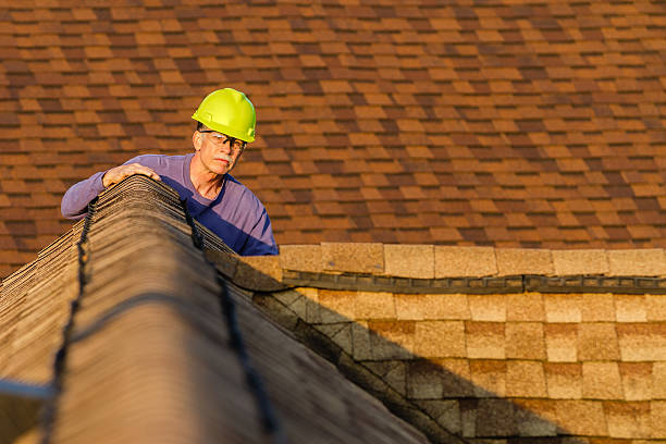Best Local Roofing Companies  in Dover, AR