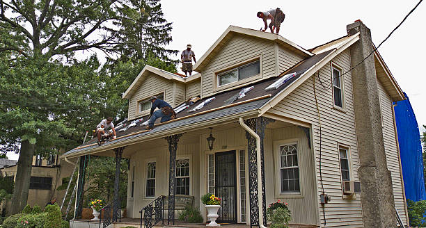 Best Roof Gutter Cleaning  in Dover, AR